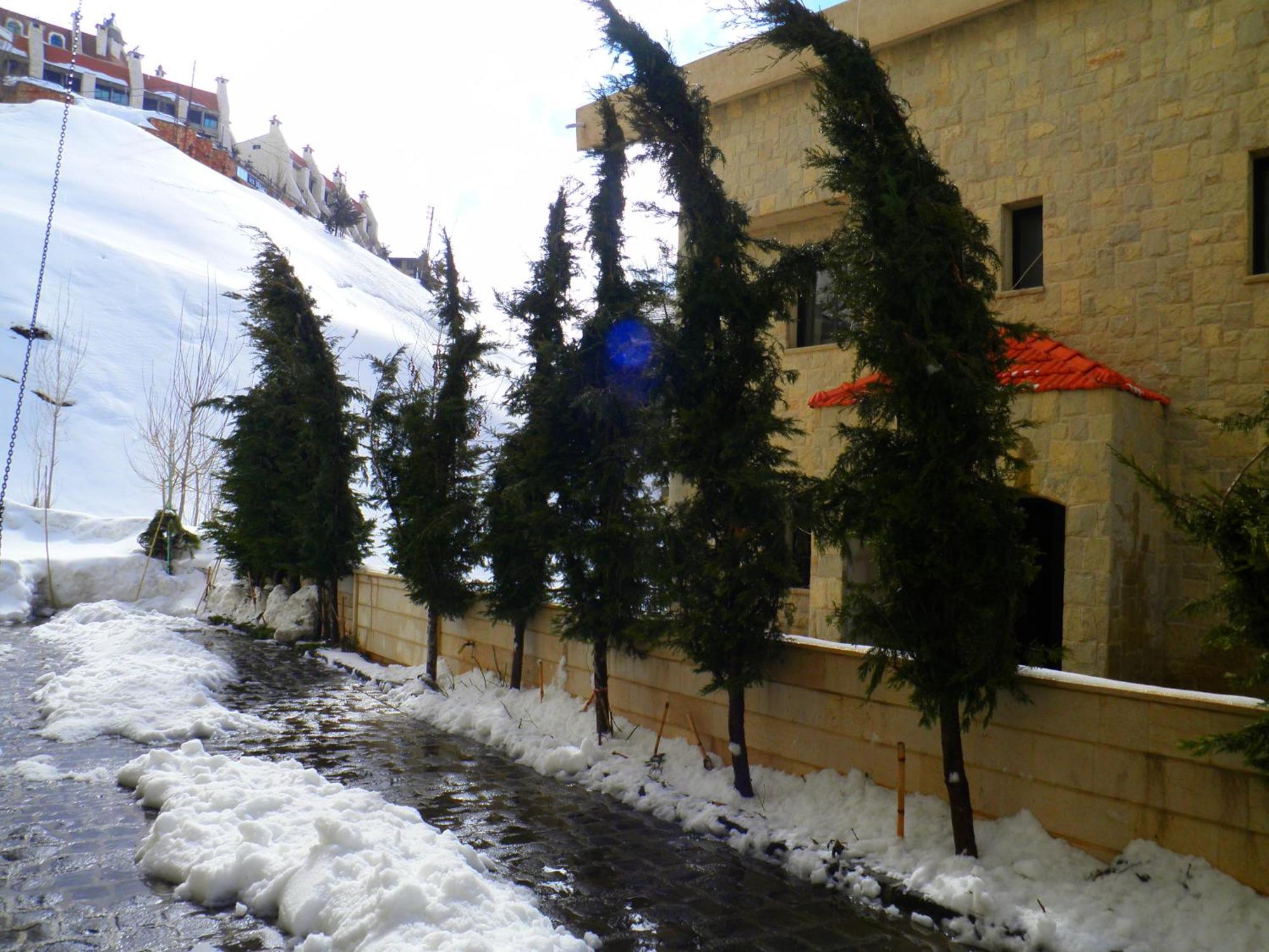 Stone Chalets Faraya Ngoại thất bức ảnh